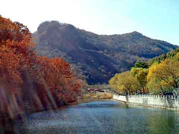 澳彩资料免费长期公开，丰田花冠论坛